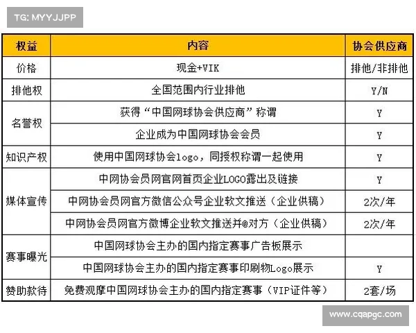 网球水平等级介绍