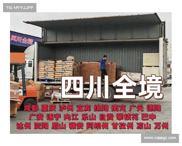 衡水诚信物流公司