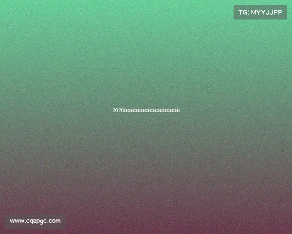 2026年世足杯激动人心赛事比分全程追踪与深度解析展望